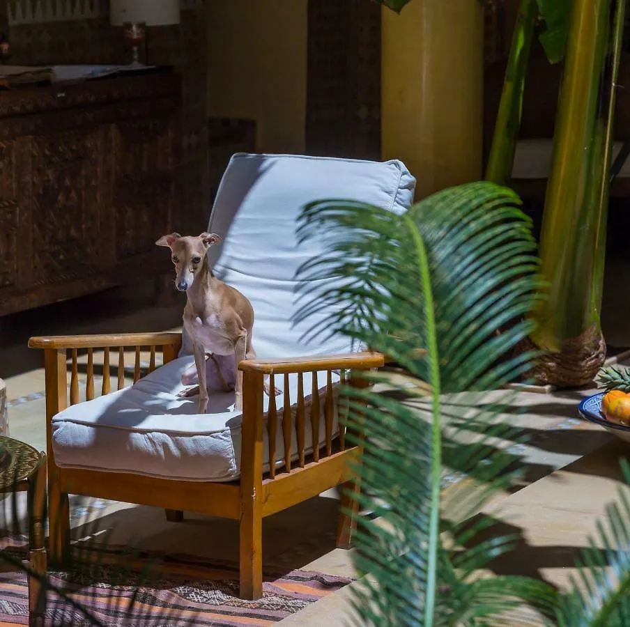 Riad Azoulay Marrakesh